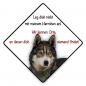 Preview: Aufkleber Siberian Husky 10x10